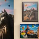 Congressional Art Competition