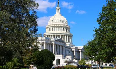 Capitol and trees